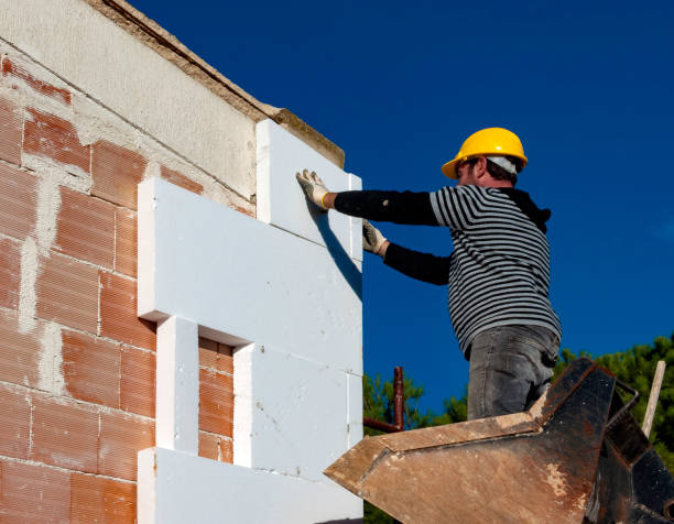 Best Blown-in Insulation  in Bonne Terre, MO