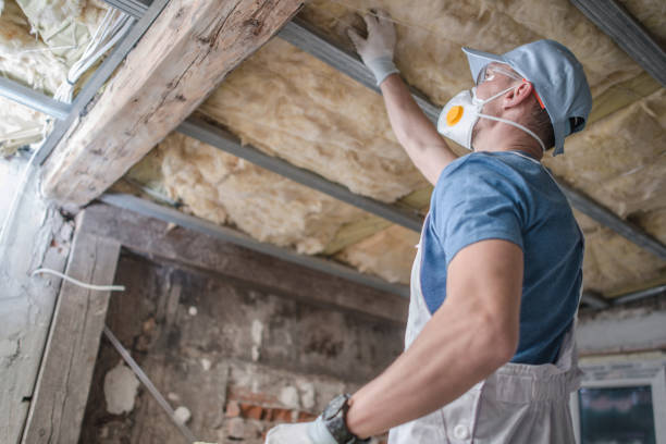 Best Insulation Repair Services  in Bonne Terre, MO