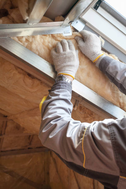 Best Professional Insulation Contractor  in Bonne Terre, MO