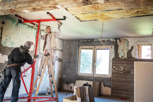 Best Cellulose Insulation  in Bonne Terre, MO