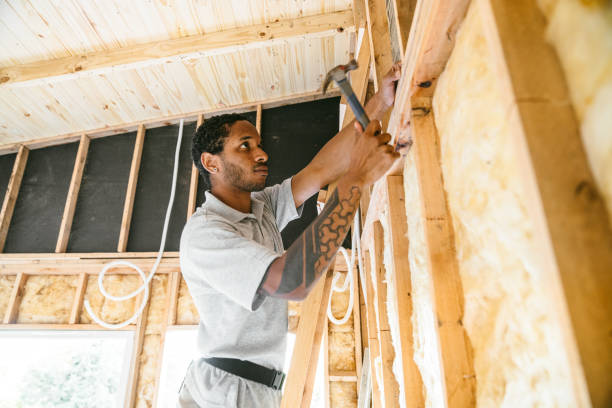 Best Local Insulation Services  in Bonne Terre, MO