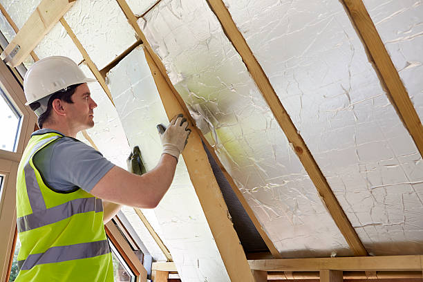 Best Insulation for New Construction  in Bonne Terre, MO