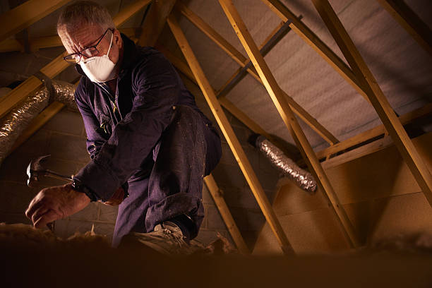 Best Insulation Removal Services  in Bonne Terre, MO