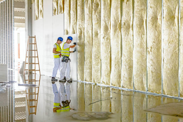 Best Residential Insulation Services  in Bonne Terre, MO